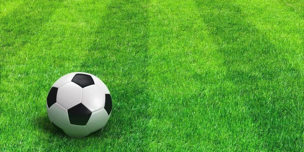 球探比分历史交锋记录